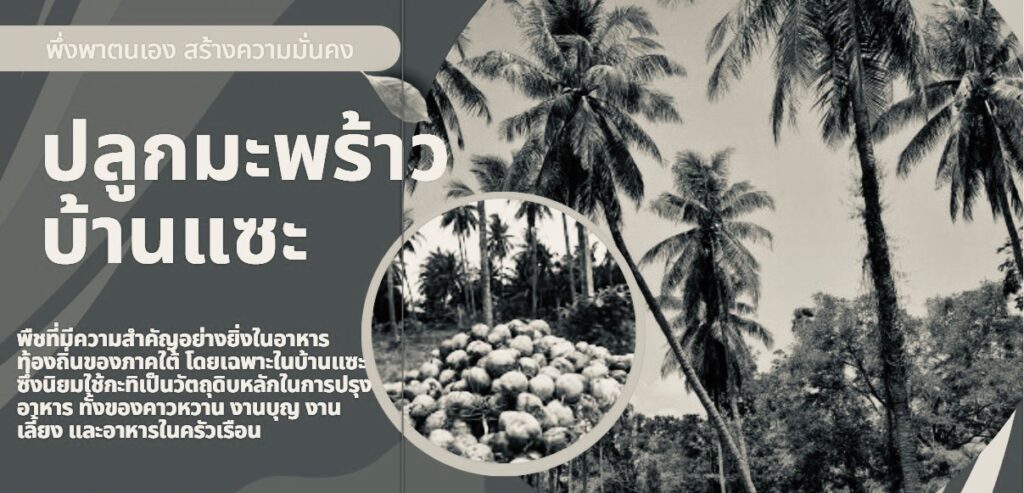 สวนมะพร้าว
