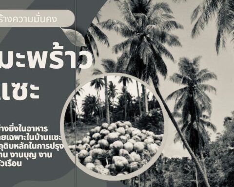 สวนมะพร้าว