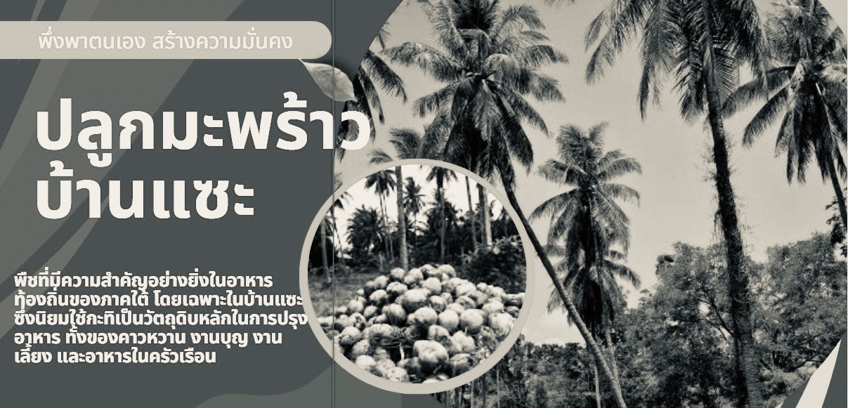 สวนมะพร้าว