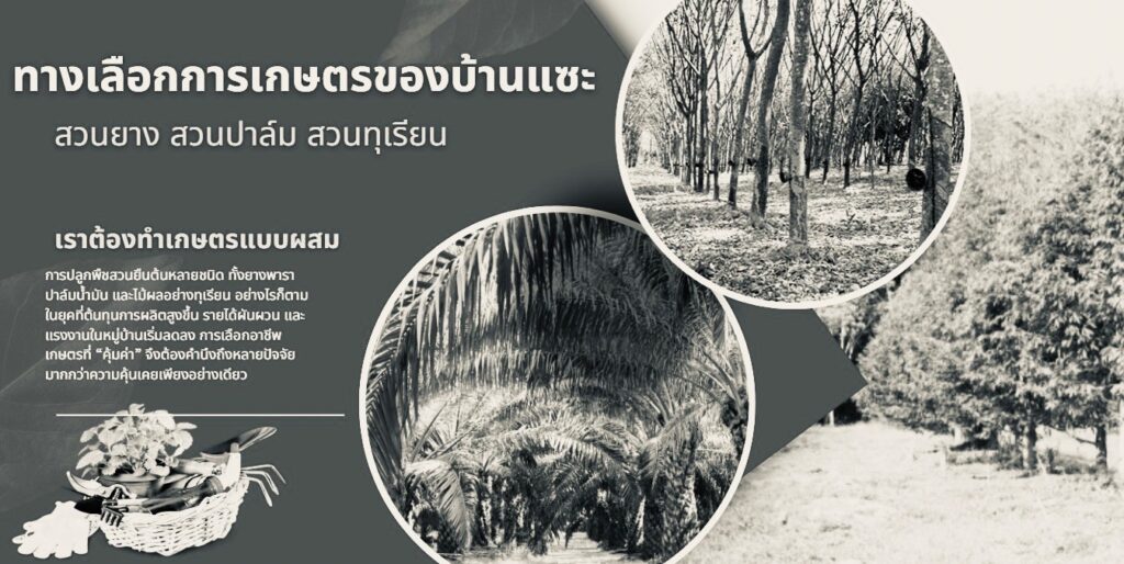 อาชีพทำสวน