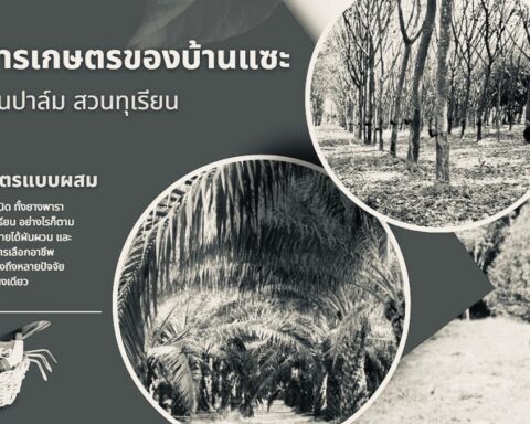 อาชีพทำสวน